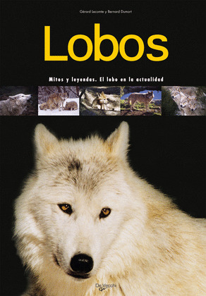 LOBOS, MITOS Y LEYENDAS. EL LOBO EN LA ACTUALIDAD