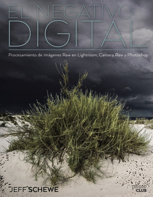 EL NEGATIVO DIGITAL: PROCESAMIENTO DE IMAGENES RAW EN LIGHTROOM, CAMERA RAW Y PH