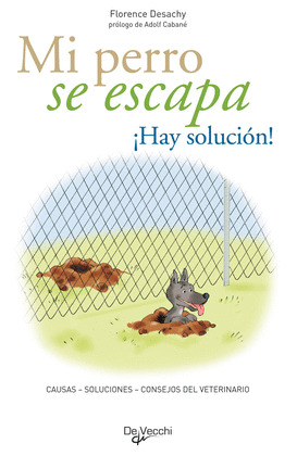 MI PERRO SE ESCAPA. HAY SOLUCION!