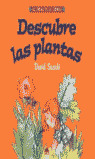 DESCUBRE LAS PLANTAS
