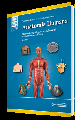 ANATOMIA HUMANA EN CASOS CLINICOS 5 ED