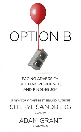 OPTION B FACING ADVERSITY BUILDING RESIL