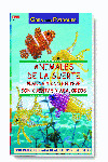 ANIMALES DE LA SUERTE. PLANOS DE RELIEVE CON CUENTAS
