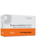 RESPONSABILIDAD CIVIL