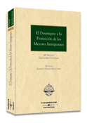 DESAMPARO Y PROTECCION DE LOS MENORES INMIGRANTES, EL