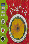 PLANTA (MIRA, MIRA)