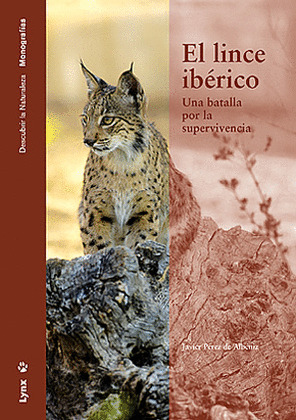 LINCE IBERICO