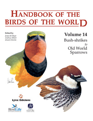 HANDBOOK OF THE BIRDS OF THE WORLD VOL. 14 - BUSH-SHRIKES TO OLD WORLD SPARROWS