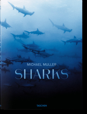 SHARKS