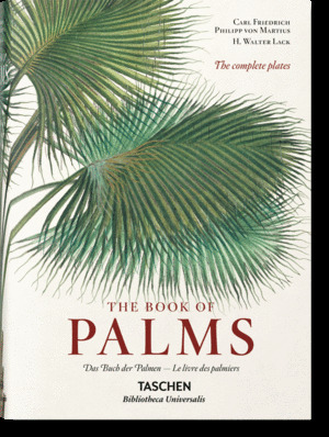 MARTIUS. EL LIBRO DE LAS PALMERAS