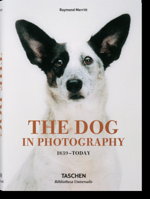 THE DOG IN PHOTOGRAPHY. 1839 - TODAY