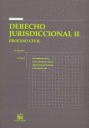 DERECHO JURISDICCIONAL II: PROCESO CIVIL