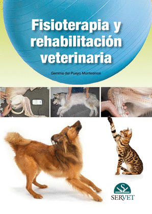 FISIOTERAPIA Y REHABILITACION