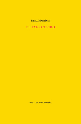 FALSO TECHO, EL