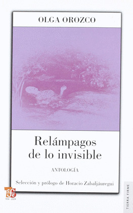 RELAMPAGOS DE LO INVISIBLE (ANTOLOGIA)