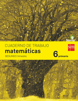 CUADERNO MATEMATICAS 2. 6º PRIMARIA. SAVIA (2015)