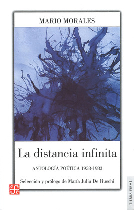LA DISTANCIA INFINITA