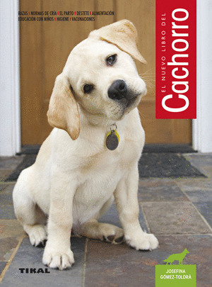 CACHORRO