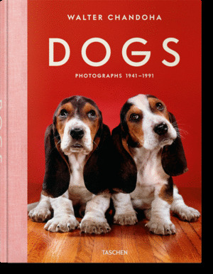 CHANDOHA, DOGS
