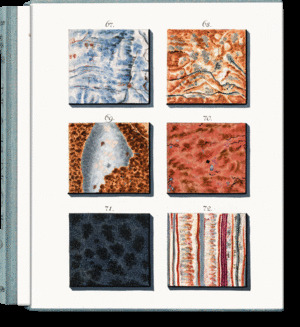 SEPP. THE BOOK OF MARBLE