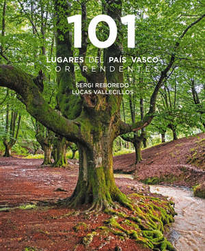 101 LUGARES DEL PAÍS VASCO SORPRENDENTES