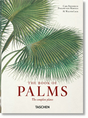 VON MARTIUS. THE BOOK OF PALMS. 40TH ED.