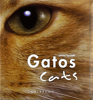 GATOS / CATS