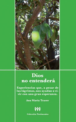 DIOS NO ENTENDERÁ