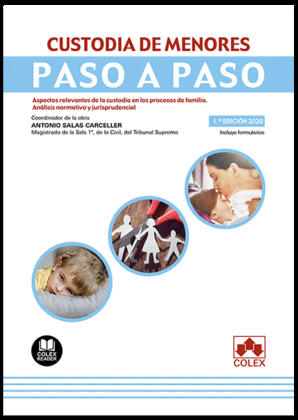 CUSTODIA DE MENORES PASO A PASO