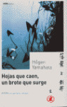 HOJAS QUE CAEN, UN BROTE QUE SURGE