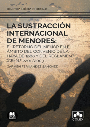 SUSTRACCION INTERNACIONAL DE MENORES: EL RETORNO DEL MENOR EN EL AMBITO DEL C