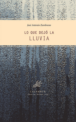 LO QUE DEJÓ LA LLUVIA