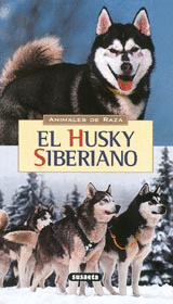 EL HUSKY SIBERIANO