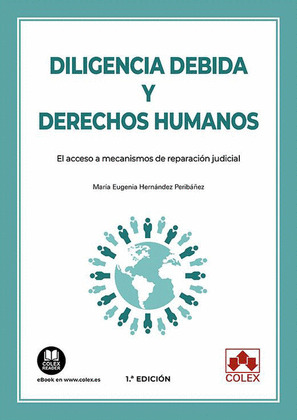 DILIGENCIA DEBIDA Y DERECHOS HUMANOS.