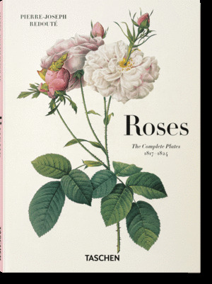 REDOUTE, ROSES