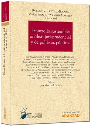 DESARROLLO SOSTENIBLE. ANÁLISIS JURISPRUDENCIAL Y DE POLÍTICAS PRIVADAS (PAPEL)