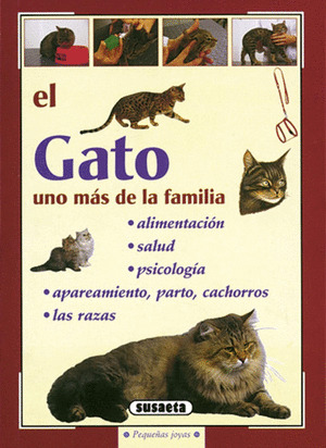 EL GATO UNO MAS DE LA FAMILIA