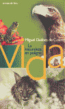 VIDA