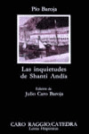 LAS INQUIETUDES DE SHANTI ANDIA