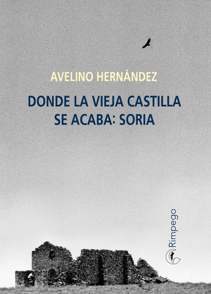 DONDE LA VIEJA CASTILLA SE ACABA: SORIA
