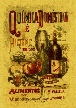 QUIMICA DOMESTICA E HIGIENE DE LOS ALIMENTOS