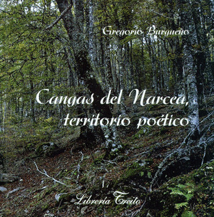 CANGAS DEL NARCEA