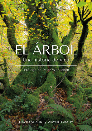 EL ARBOL