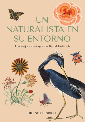 NATURALISTA EN SU ENTORNO, UN