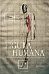 FIGURA HUMANA