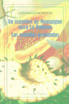 UN SEGUIDOR DE MONTAIGNE