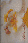 ENTRAÑABLES PENSAMIENTOS DE AMOR