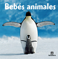 BEBES ANIMALES