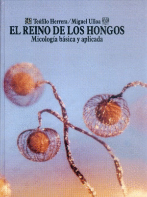 REINO DE LOS HONGOS
