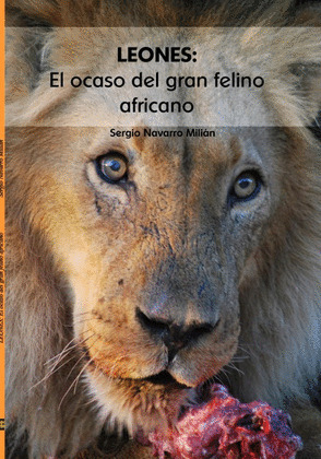 LEONES: EL OCASO DEL GRAN FELINO AFRICANO